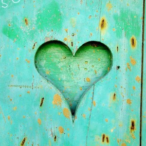 Enezei Parafarmacia. Categoría Otros Complementos para la salud